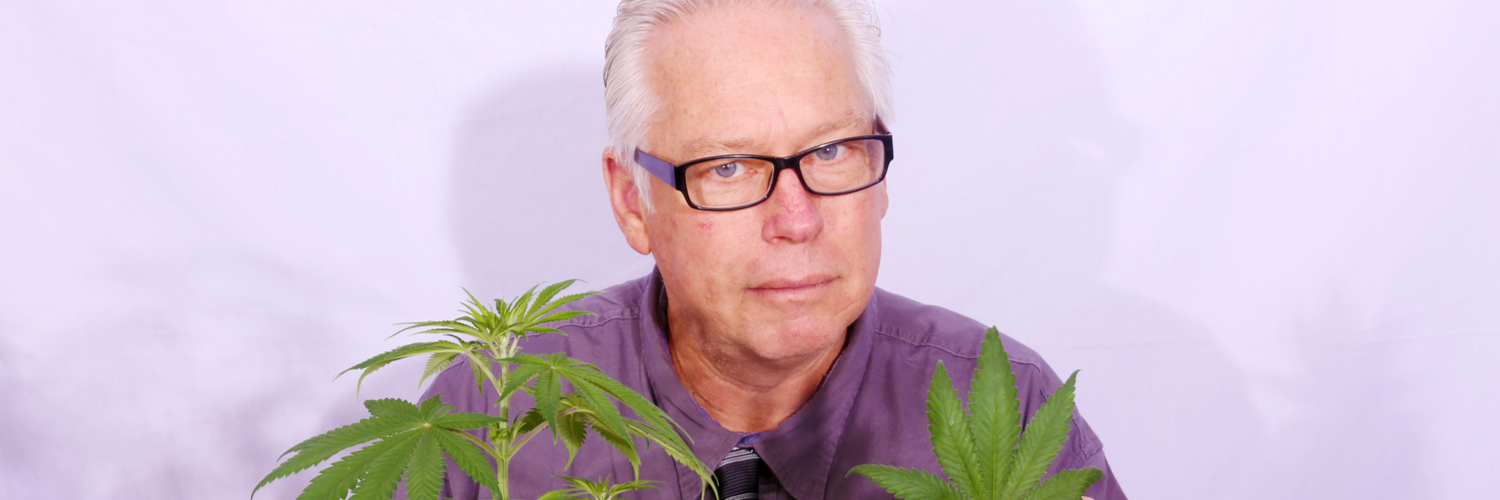 Cannabis Insurance in Massachusetts | Paul T. Murphy Insurance