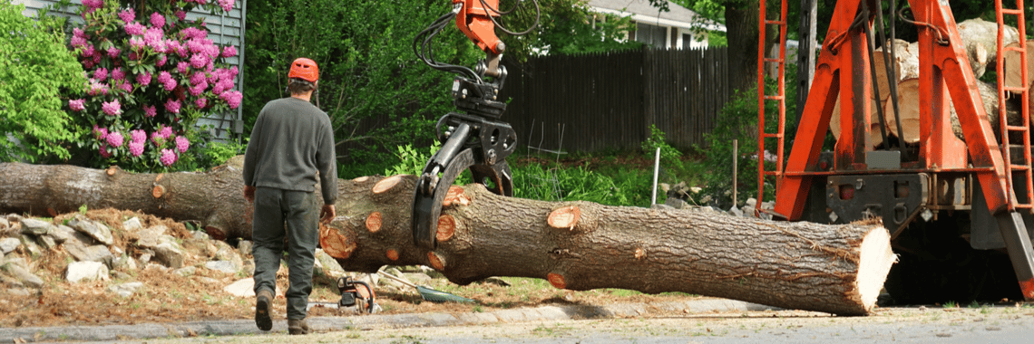 Tree Service Insurance Massachusetts